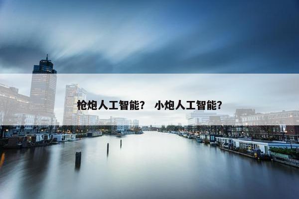 枪炮人工智能？ 小炮人工智能？