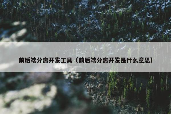 前后端分离开发工具（前后端分离开发是什么意思）