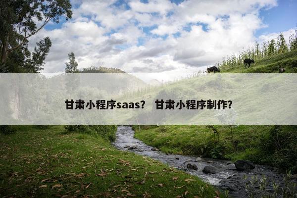 甘肃小程序saas？ 甘肃小程序制作？