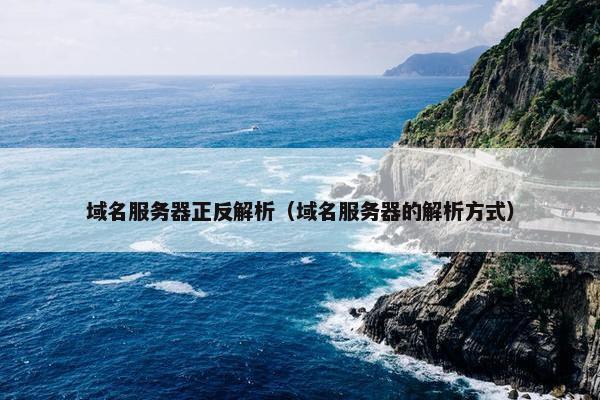 域名服务器正反解析（域名服务器的解析方式）