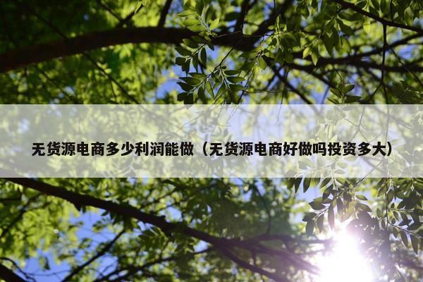 无货源电商多少利润能做（无货源电商好做吗投资多大）