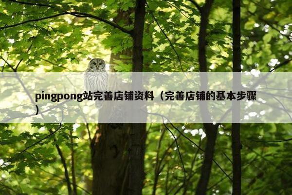 pingpong站完善店铺资料（完善店铺的基本步骤）
