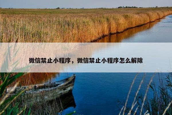 微信禁止小程序，微信禁止小程序怎么解除