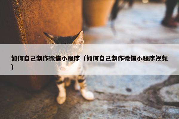 如何自己制作微信小程序（如何自己制作微信小程序视频）