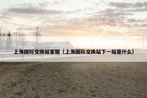 上海国际交换站客服（上海国际交换站下一站是什么）