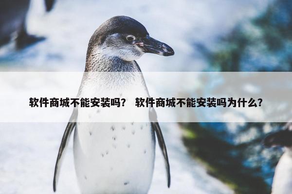 软件商城不能安装吗？ 软件商城不能安装吗为什么？