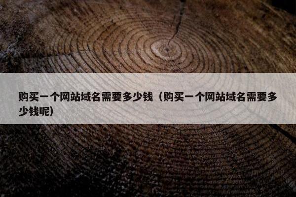 购买一个网站域名需要多少钱（购买一个网站域名需要多少钱呢）