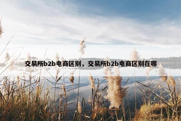 交易所b2b电商区别，交易所b2b电商区别在哪