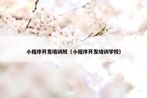 小程序开发培训班（小程序开发培训学校）