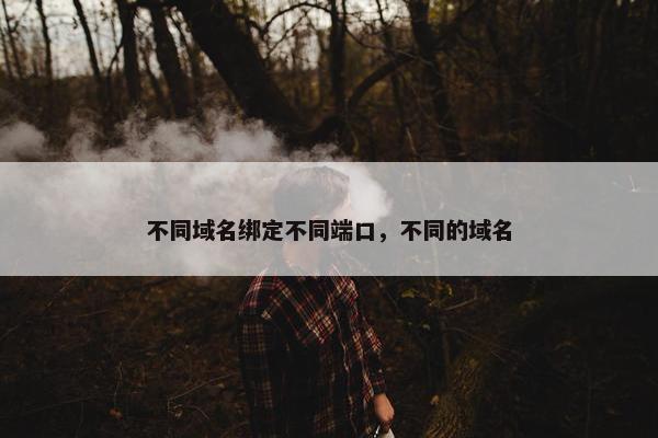 不同域名绑定不同端口，不同的域名