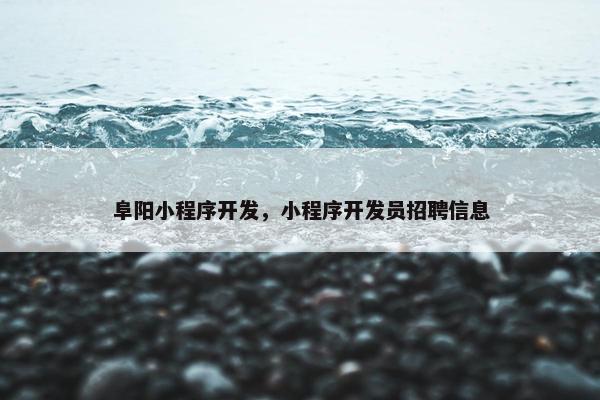 阜阳小程序开发，小程序开发员招聘信息