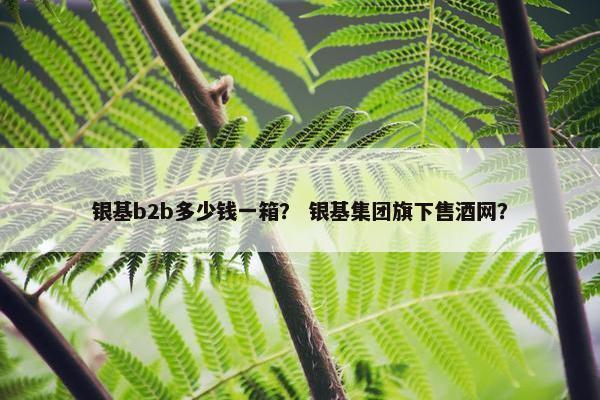 银基b2b多少钱一箱？ 银基集团旗下售酒网？
