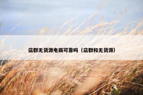店群无货源电商可靠吗（店群和无货源）