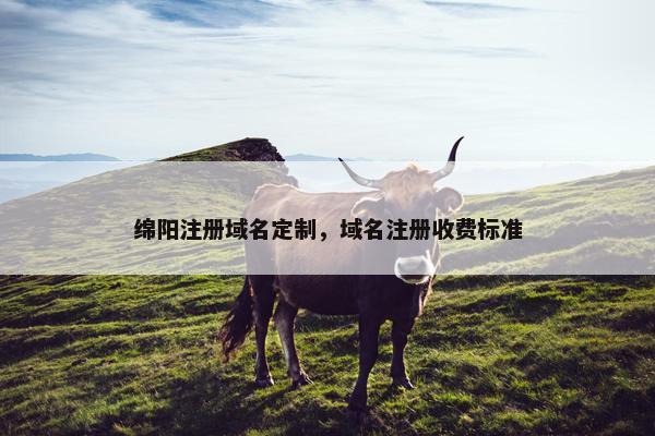 绵阳注册域名定制，域名注册收费标准