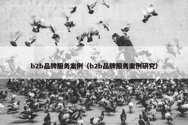 b2b品牌服务案例（b2b品牌服务案例研究）