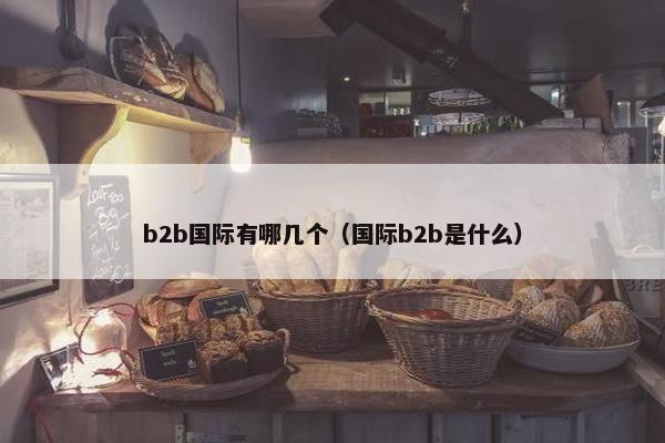 b2b国际有哪几个（国际b2b是什么）