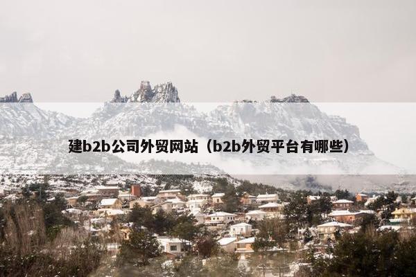 建b2b公司外贸网站（b2b外贸平台有哪些）