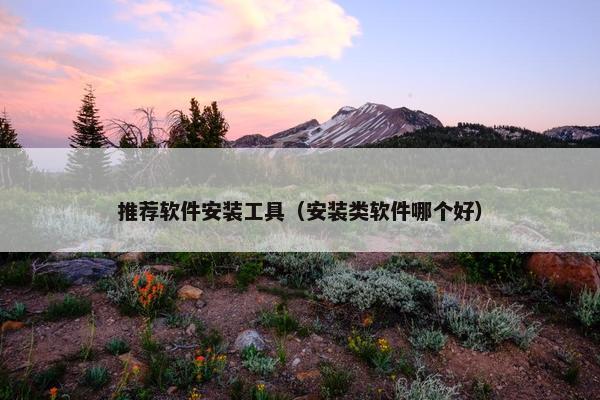 推荐软件安装工具（安装类软件哪个好）