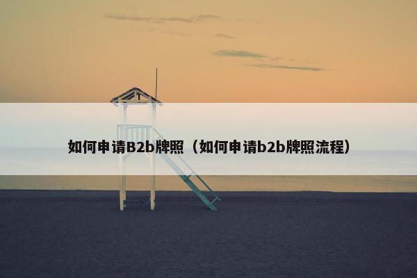 如何申请B2b牌照（如何申请b2b牌照流程）