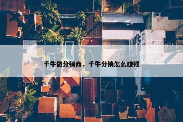 千牛做分销商，千牛分销怎么赚钱