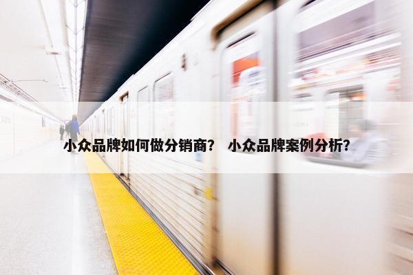 小众品牌如何做分销商？ 小众品牌案例分析？