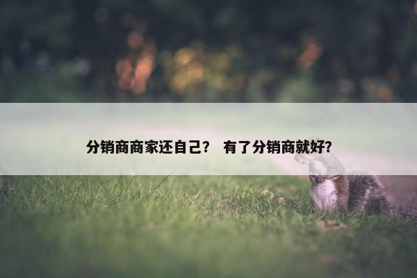 分销商商家还自己？ 有了分销商就好？