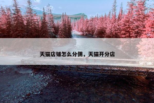 天猫店铺怎么分佣，天猫开分店