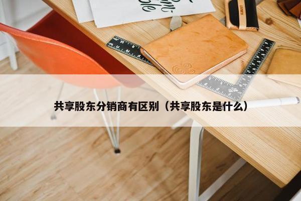 共享股东分销商有区别（共享股东是什么）