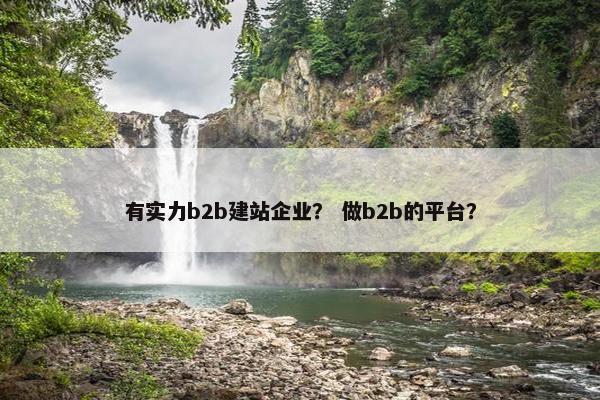 有实力b2b建站企业？ 做b2b的平台？