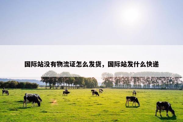 国际站没有物流证怎么发货，国际站发什么快递