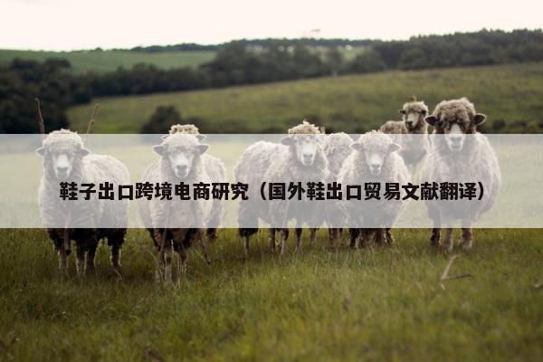鞋子出口跨境电商研究（国外鞋出口贸易文献翻译）