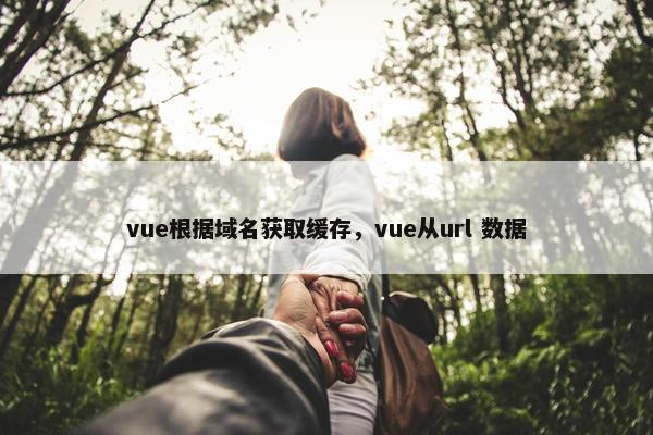 vue根据域名获取缓存，vue从url 数据