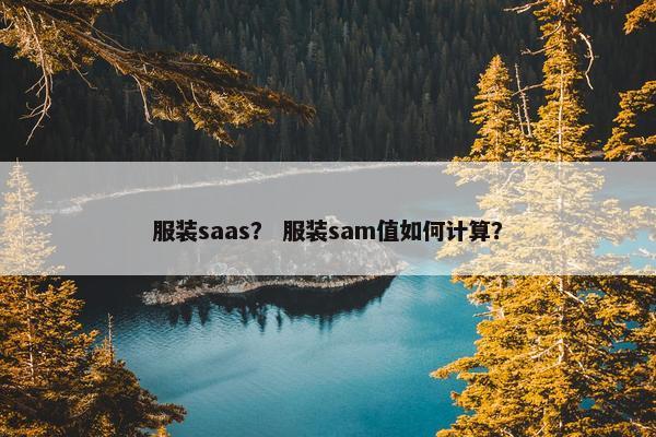 服装saas？ 服装sam值如何计算？