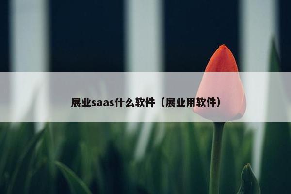 展业saas什么软件（展业用软件）
