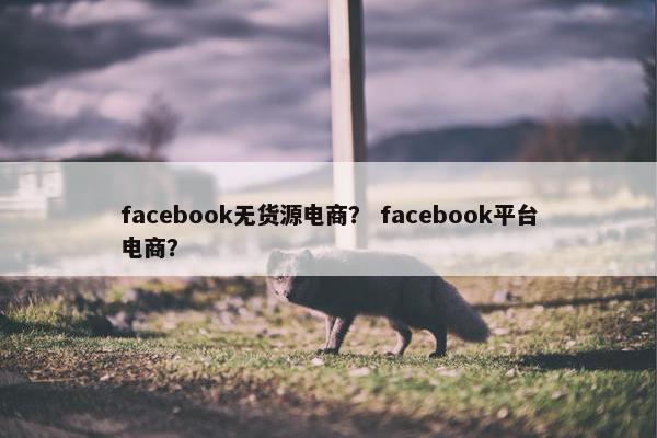 facebook无货源电商？ facebook平台电商？