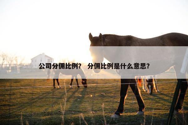 公司分佣比例？ 分佣比例是什么意思？