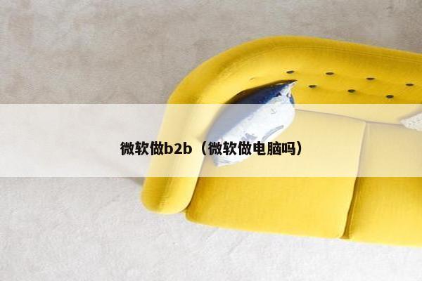 微软做b2b（微软做电脑吗）