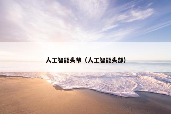 人工智能头爷（人工智能头部）