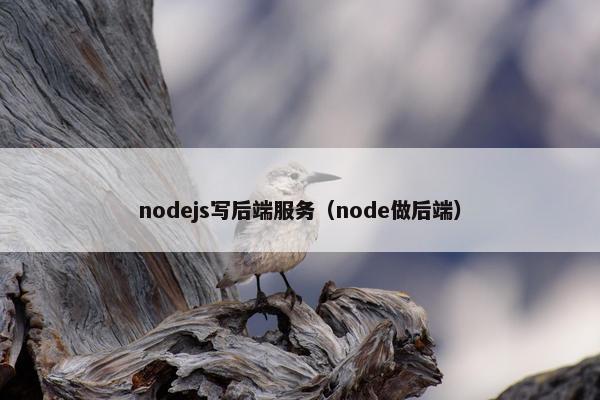 nodejs写后端服务（node做后端）