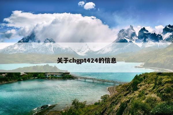 关于chgpt424的信息