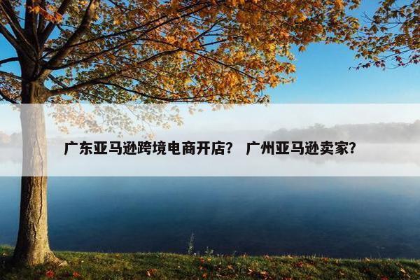 广东亚马逊跨境电商开店？ 广州亚马逊卖家？