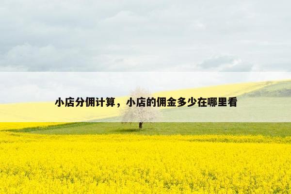 小店分佣计算，小店的佣金多少在哪里看