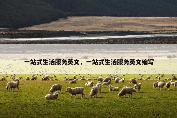 一站式生活服务英文，一站式生活服务英文缩写