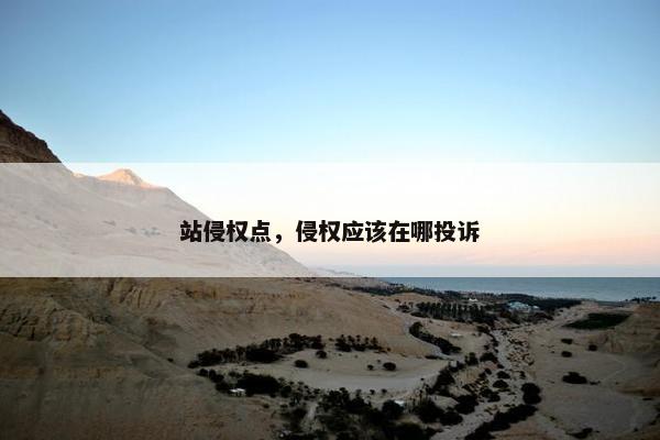 站侵权点，侵权应该在哪投诉