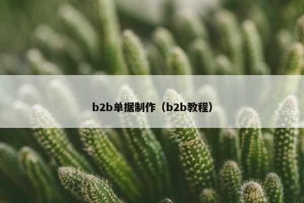 b2b单据制作（b2b教程）