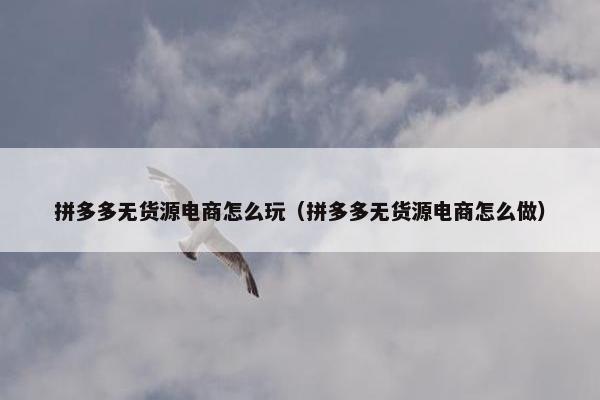 拼多多无货源电商怎么玩（拼多多无货源电商怎么做）