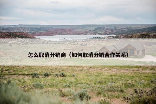 怎么取消分销商（如何取消分销合作关系）