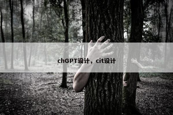 chGPT设计，cit设计