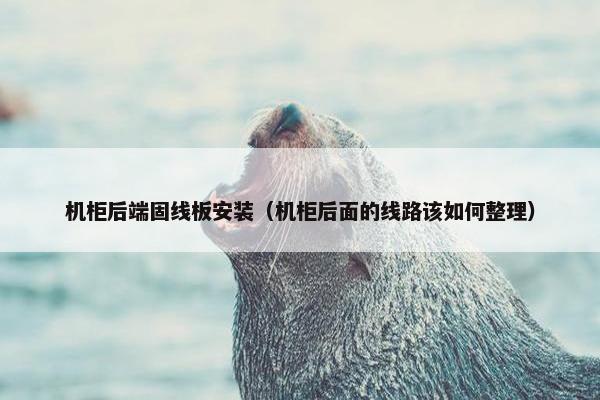 机柜后端固线板安装（机柜后面的线路该如何整理）