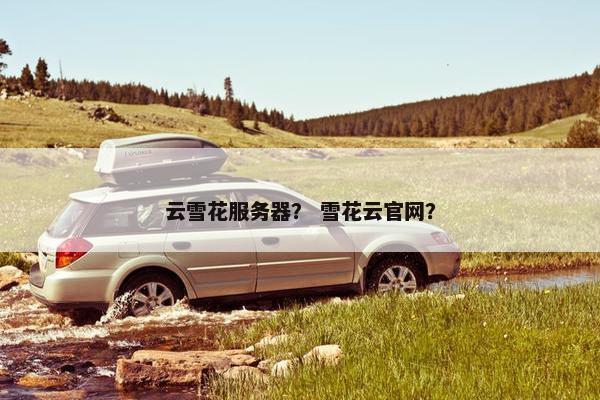 云雪花服务器？ 雪花云官网？